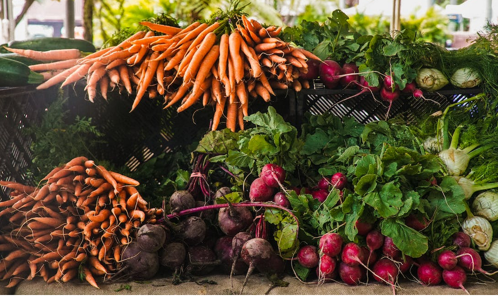 plant food